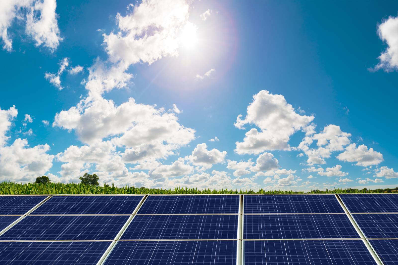 Can solar save British industry from the highest electricity costs in the world?